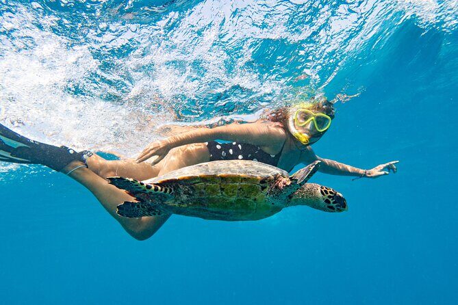 St Thomas Mangrove Lagoon Kayak and Snorkel Tour in the US Virgin Islands - Cas Cay extension: a hike on a deserted island add-on