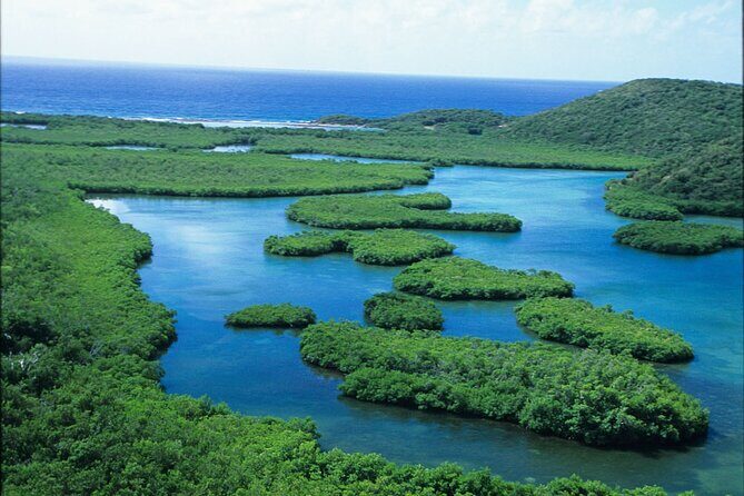 St Thomas Mangrove Lagoon Kayak and Snorkel Tour in the US Virgin Islands - Price and value: is $89 a good deal for St Thomas?