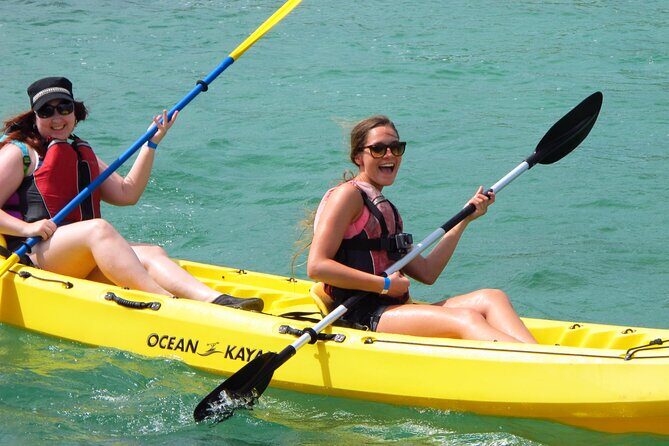 St Thomas Mangrove Lagoon Kayak and Snorkel Tour in the US Virgin Islands - Who should book, and who should reconsider