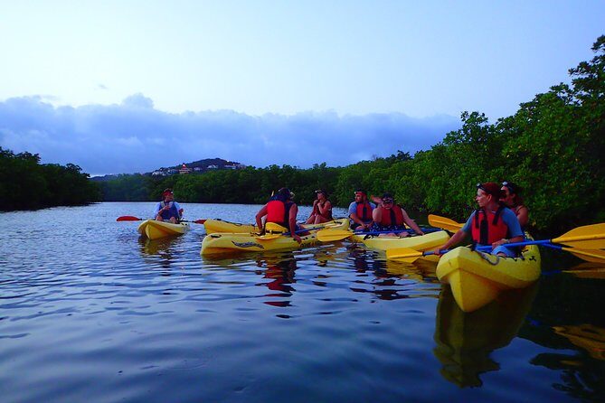 St Thomas Night Kayak Tour - Key Points Before You Go
