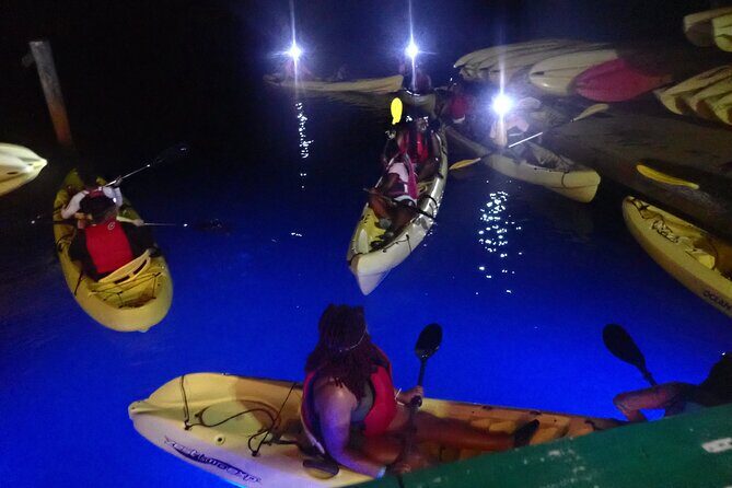 St Thomas Night Kayak Tour - Who Should Book This Night Kayak Tour