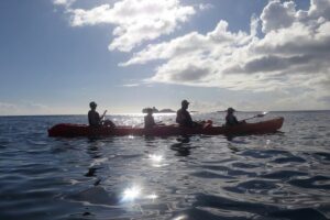 St Thomas Sea Turtle Snorkel Kayak Adventure Tour - Meeting at Emerald Beach Resort and Starting at 10:00 AM