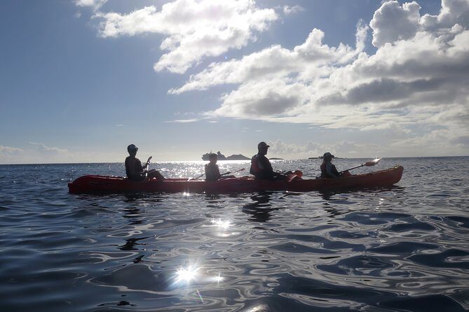 St Thomas Sea Turtle Snorkel Kayak Adventure Tour - Meeting at Emerald Beach Resort and Starting at 10:00 AM
