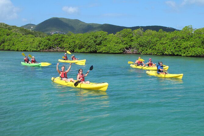 St Thomas Shore Excursion: Mangrove Lagoon Kayak and Snorkel Tour - Quick hits