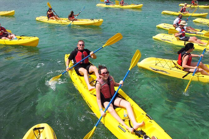 St Thomas Shore Excursion: Mangrove Lagoon Kayak and Snorkel Tour - Why the Mangrove Lagoon feels different from open-water snorkeling
