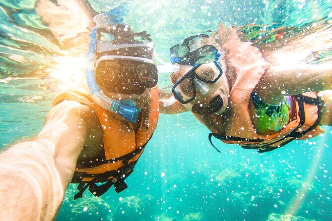 St Thomas Shore Excursion: Mangrove Lagoon Kayak and Snorkel Tour - The kayak portion: what the paddling actually gives you