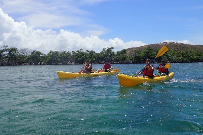 St Thomas Shore Excursion: Mangrove Lagoon Kayak and Snorkel Tour - Value check: is $119 a fair price for a short port excursion?