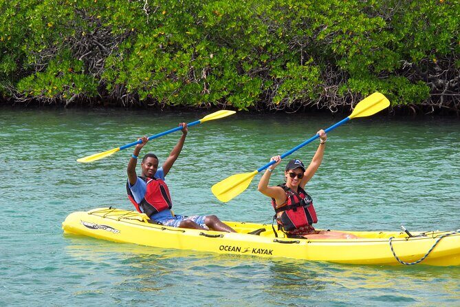 St Thomas Shore Excursion: Mangrove Lagoon Kayak and Snorkel Tour - Should you book the Mangrove Lagoon Kayak and Snorkel Tour?