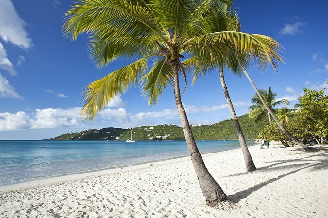 St Thomas Shore Excursion: Shopping, Sightseeing and Beach Tour - Quick take: what stands out on this St. Thomas day