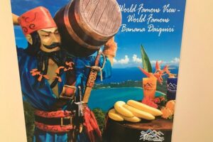 St. Thomas Sightseeing Tour with a Guide - Fort Christian Pass and Charlotte Amalie: Quick Orientation Fast