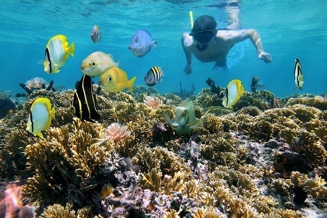 St Thomas~St John Snorkel, Swim & Beach Trip on MV Island Flyer - Key things to know before you go