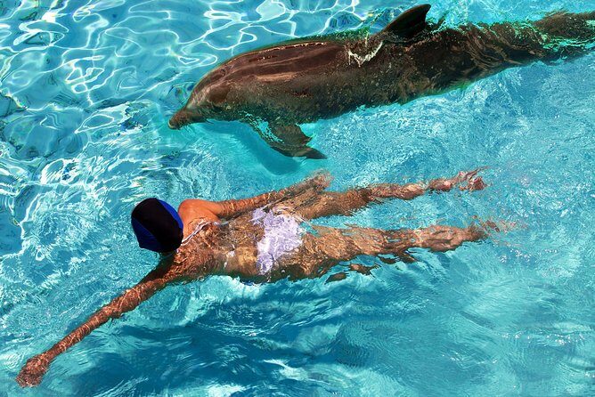 St Thomas~St John Snorkel, Swim & Beach Trip on MV Island Flyer - What Happens in the Water: Gear, a Real Reef Focus, and Fish Time