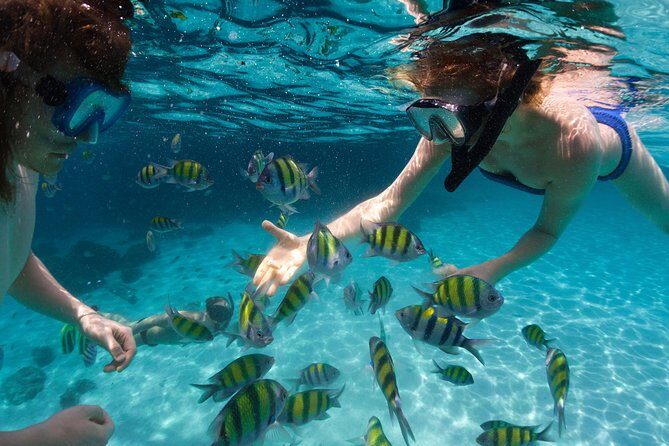 St Thomas~St John Snorkel, Swim & Beach Trip on MV Island Flyer - Drinks, Gear, and Sanitized Boats Without the Lecture