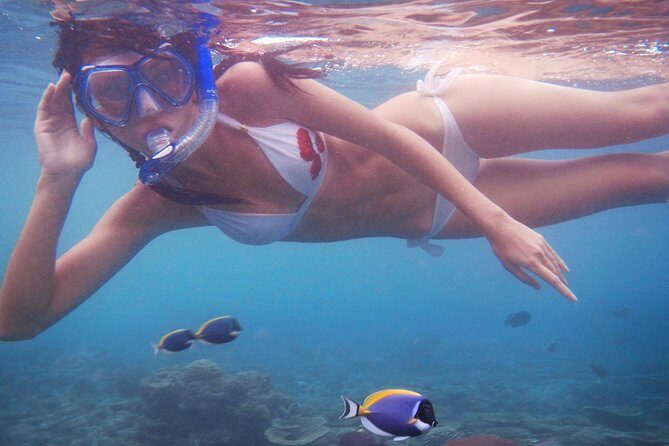 St Thomas~St John Snorkel, Swim & Beach Trip on MV Island Flyer - Honeymoon Beach or Hawksnest Bay: The Beach Part You’ll Remember
