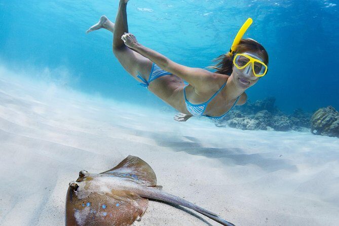 St Thomas~St John Snorkel, Swim & Beach Trip on MV Island Flyer - Where You’ll Snorkel: St John Bays and Nearby Cays