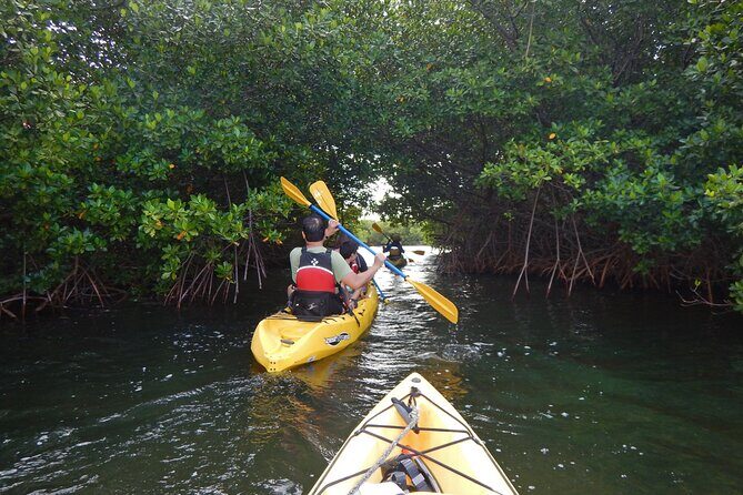 Sunset Kayak Tour in the Mangrove Lagoon, St Thomas - Key reasons this sunset paddle works