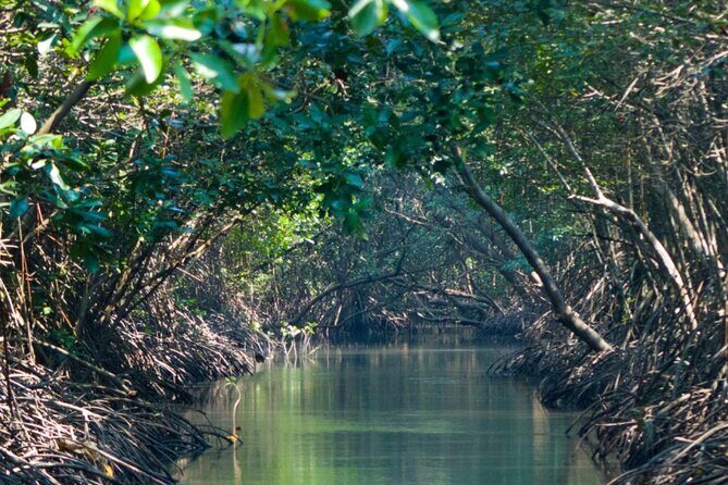 Sunset Kayak Tour in the Mangrove Lagoon, St Thomas - Time on the water: 90 minutes that don’t feel rushed