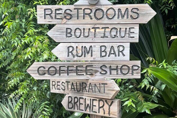 The Baths, Virgin Gorda, Cooper Island & Norman Island Snorkel - What to pack for a smooth, long day at sea