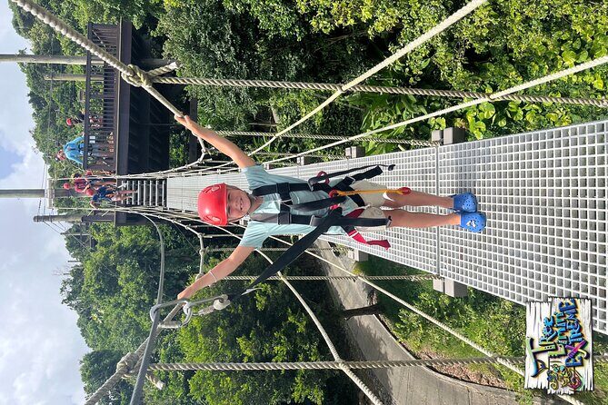 Tree Limin' Extreme Zipline - Pace and Logistics: A 2.5-Hour Day That Stays Focused