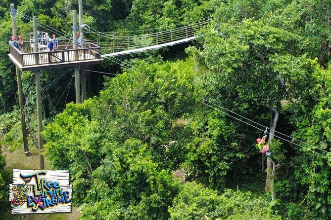 Tree Limin' Extreme Zipline - Price and Value: Is $155 a Good Deal?