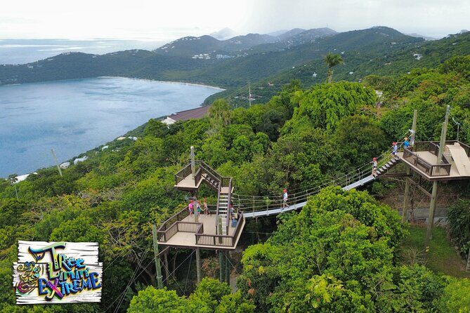 Tree Limin' Extreme Zipline - Who Should Book (and Who Should Rethink It)