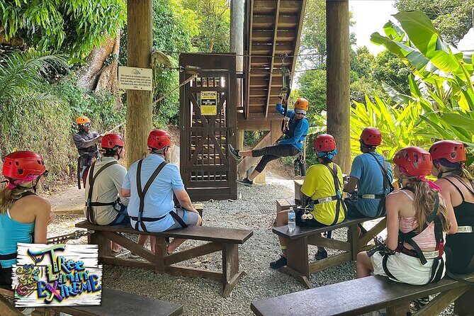 Tree Limin' Extreme Zipline - The Tree-Top Course: Six Zip Lines, Two Sky Bridges, and the Yo-Yo
