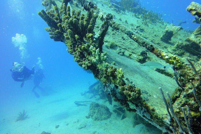 Two-Tank Dive for Certified Diving in St Thomas - The captain and guide factor: why it matters when conditions change