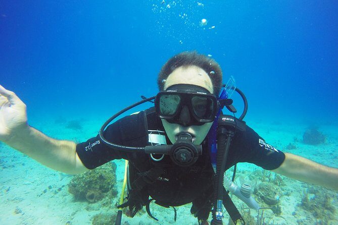 Two-Tank Dive for Certified Diving in St Thomas - Where you might go: reefs and shipwreck areas you can name