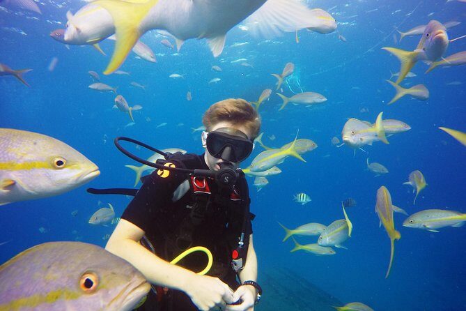 Two-Tank Dive for Certified Diving in St Thomas - Morning vs afternoon: how the other boat traffic can change