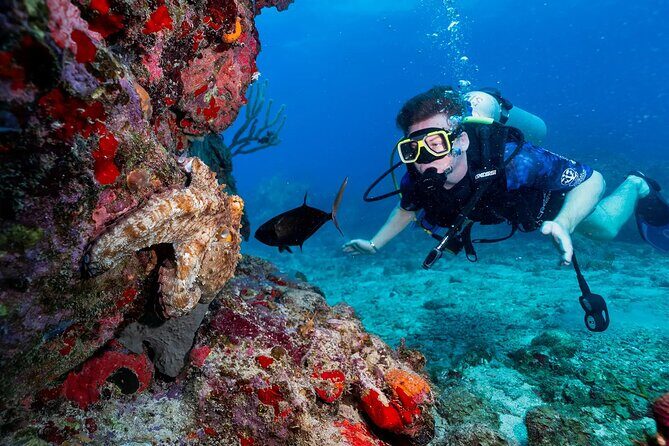 Two-Tank Morning Dive Trip for Certified Divers - Reef sites around St John: what 30–80 feet gives you