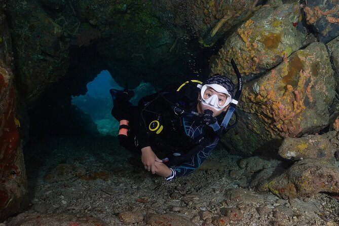 Two-Tank Morning Dive Trip for Certified Divers - Price and value: is $180 fair for a two-tank morning?