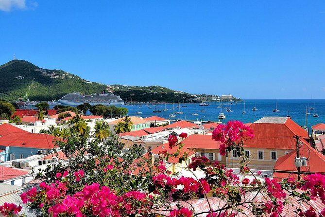 Vi Top Taxi &Tours USVI-St Thomas Private Group-Island Tour - Should you book this private St Thomas tour?
